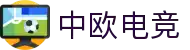 中欧电竞-官方电竞行业引领者